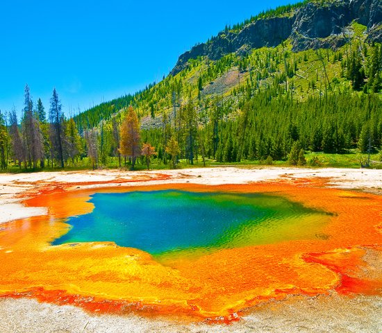 Parc national de YellowStone, Etats Unis