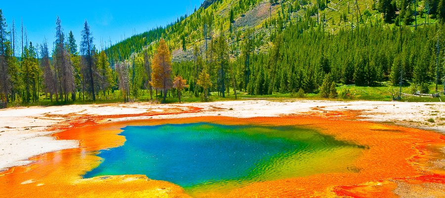 Parc national de YellowStone, Etats Unis