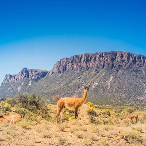 Parque Provincial  Ischigualasto, San Juan, Argentine