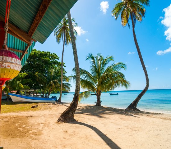 Plage, palmiers et eau turquoise à San Andres y Providencia, Colombie