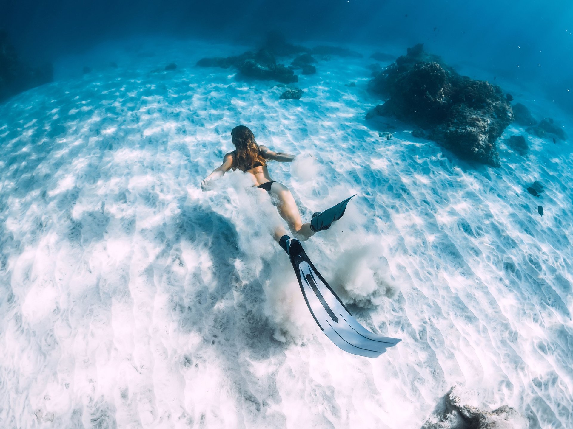 Plongée sous marine à Hawaii