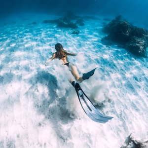 Plongée sous marine à Hawaii