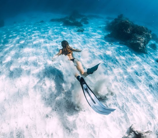 Plongée sous marine à Hawaii