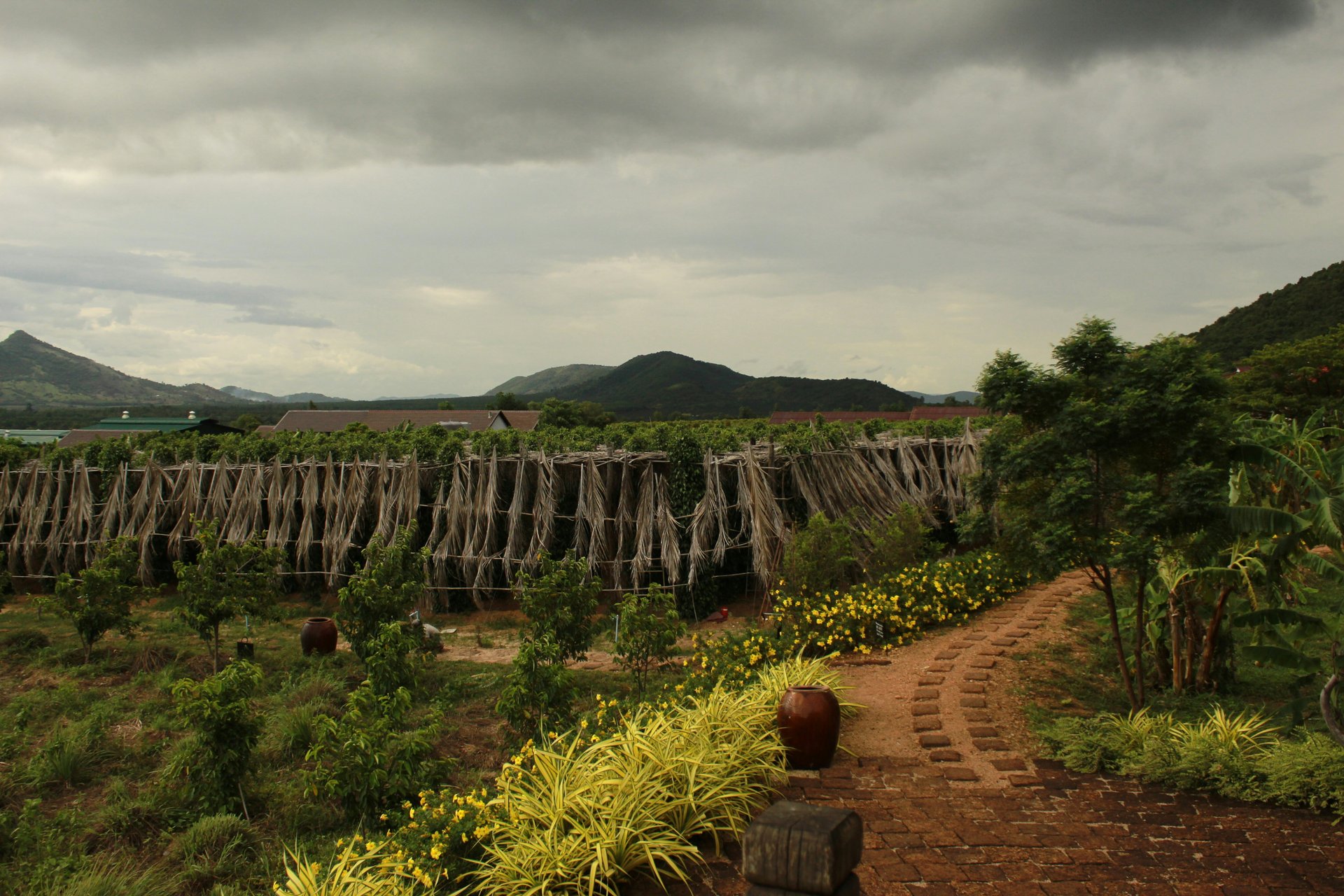 Province de Kampot, Cambodge