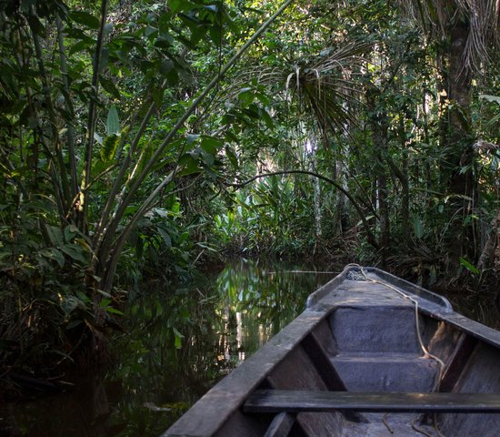 Puerto Maldonado