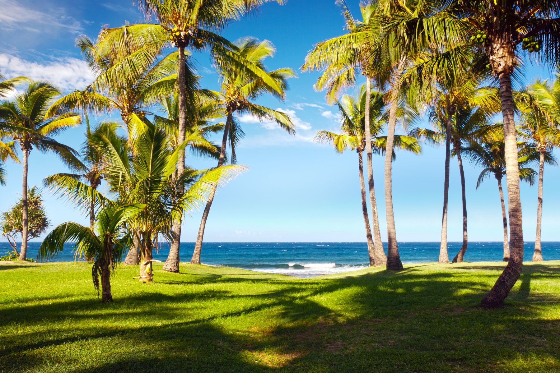 Grande Anse à la Réunion