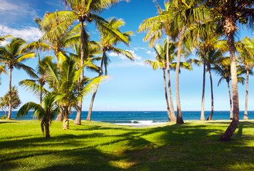 Grande Anse à la Réunion