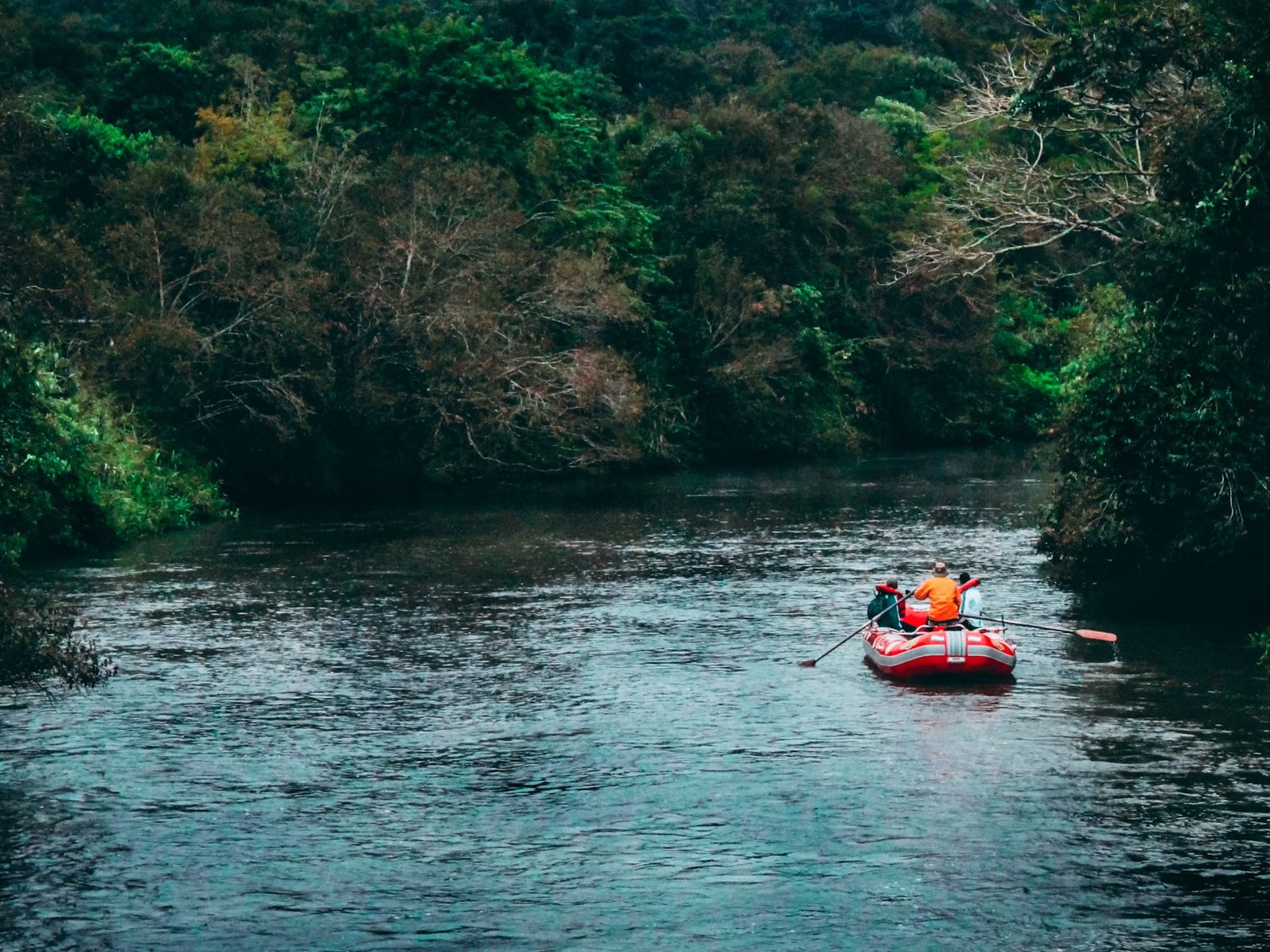 Rafting en Argentine