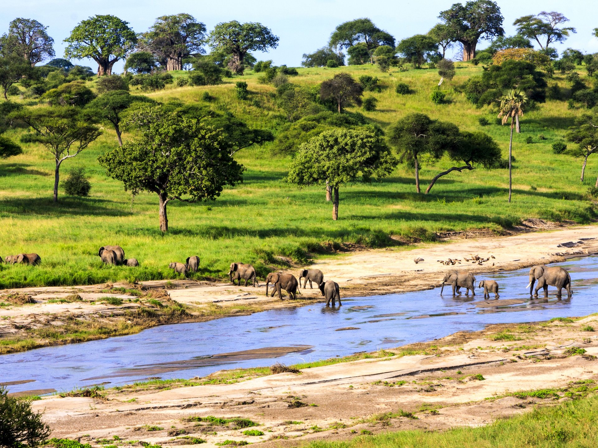 Randonnée Tanzanie