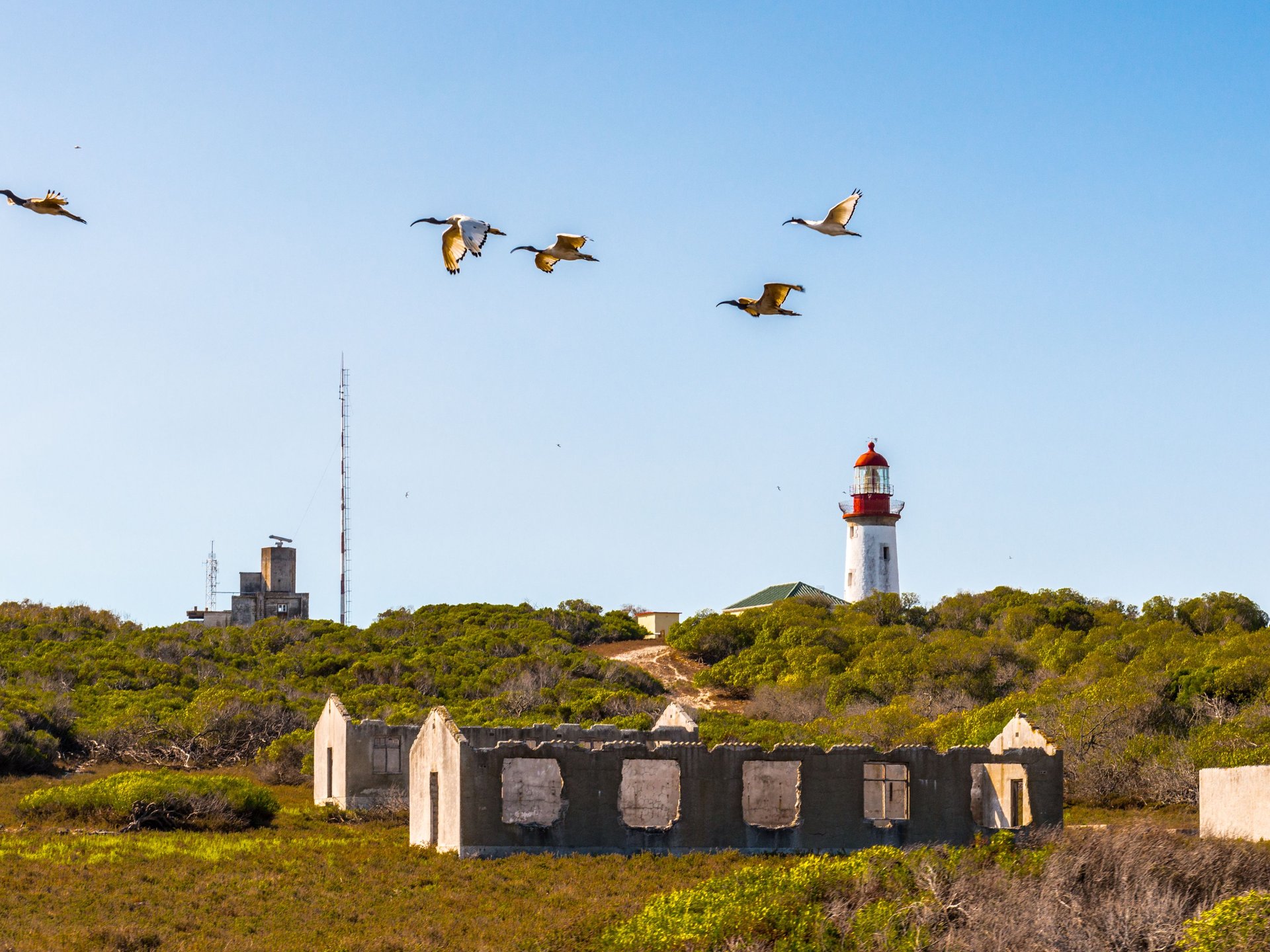 Robben Island, Afrique du Sud