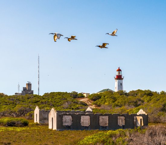Robben Island, Afrique du Sud
