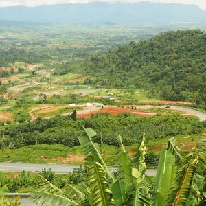 Route nationale cambodgienne 55 à Pursat