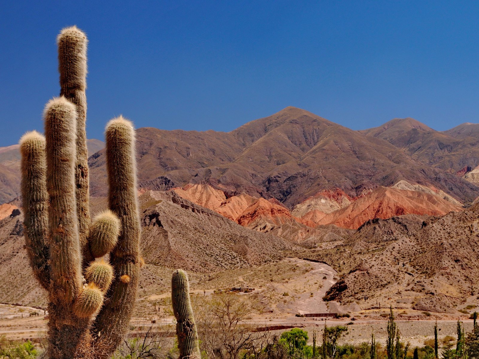 Ruines de Tilcara, Salta, Argentine