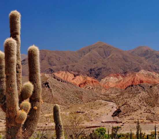 Ruines de Tilcara, Salta, Argentine