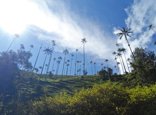 Souvenir du voyage de Lydie, Colombie