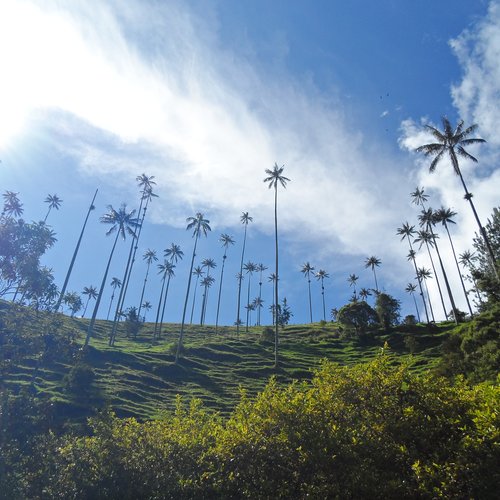 Souvenir du voyage de Lydie, Colombie