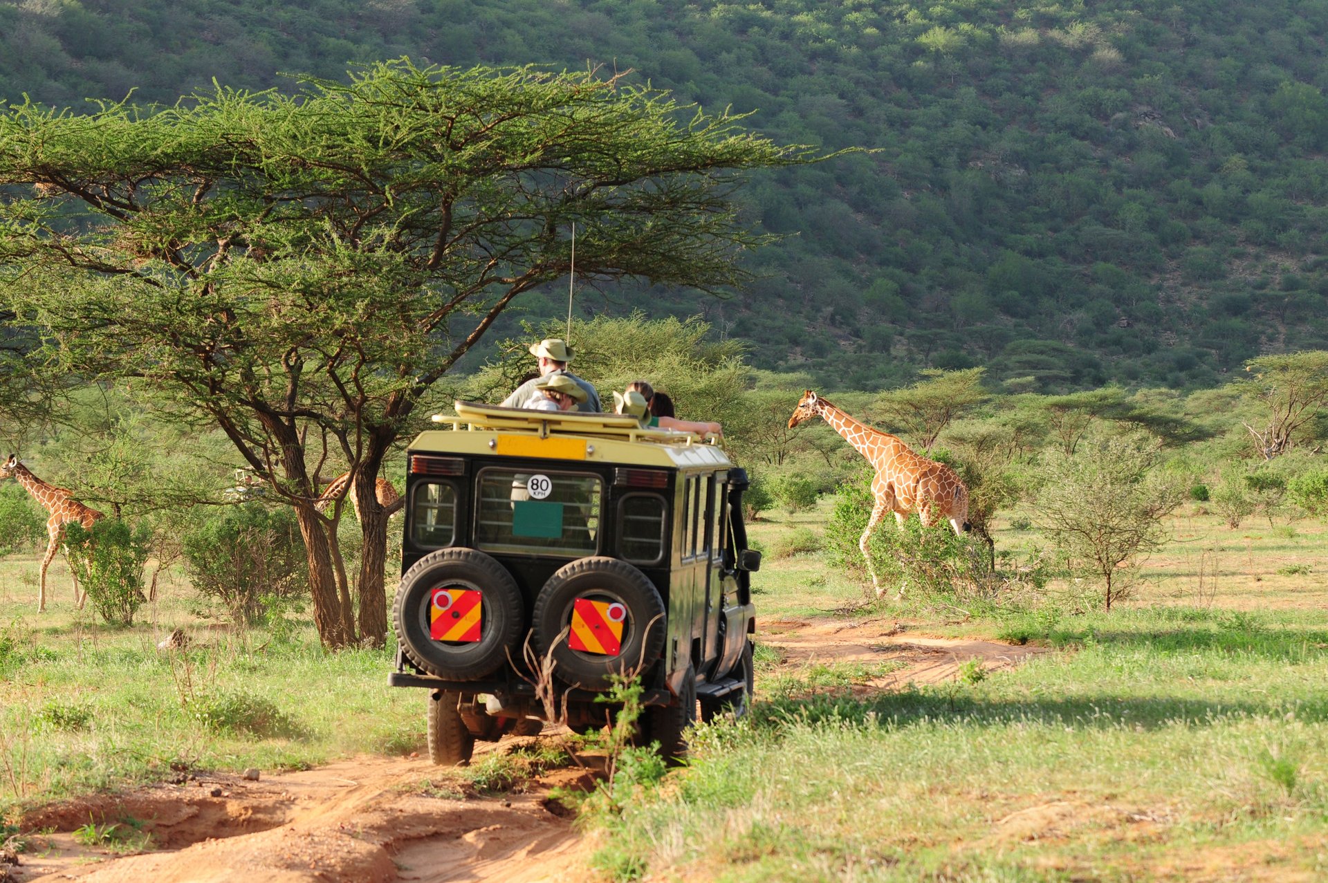 Safari Kenya