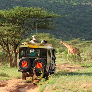Safari Kenya