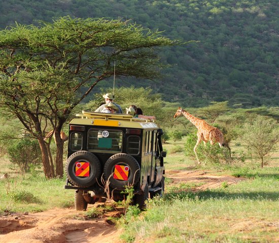 Safari Kenya