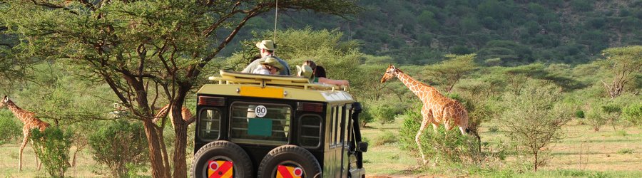 Safari Kenya