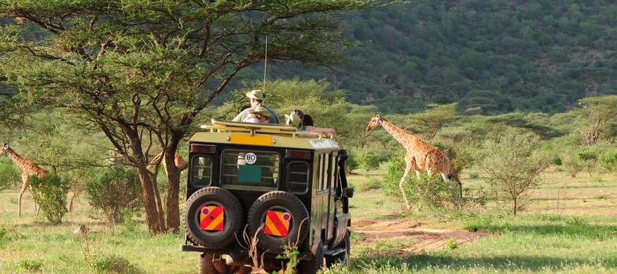 Safari Kenya