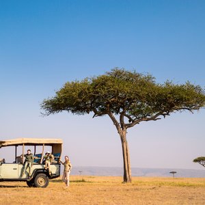 Safari madagascar