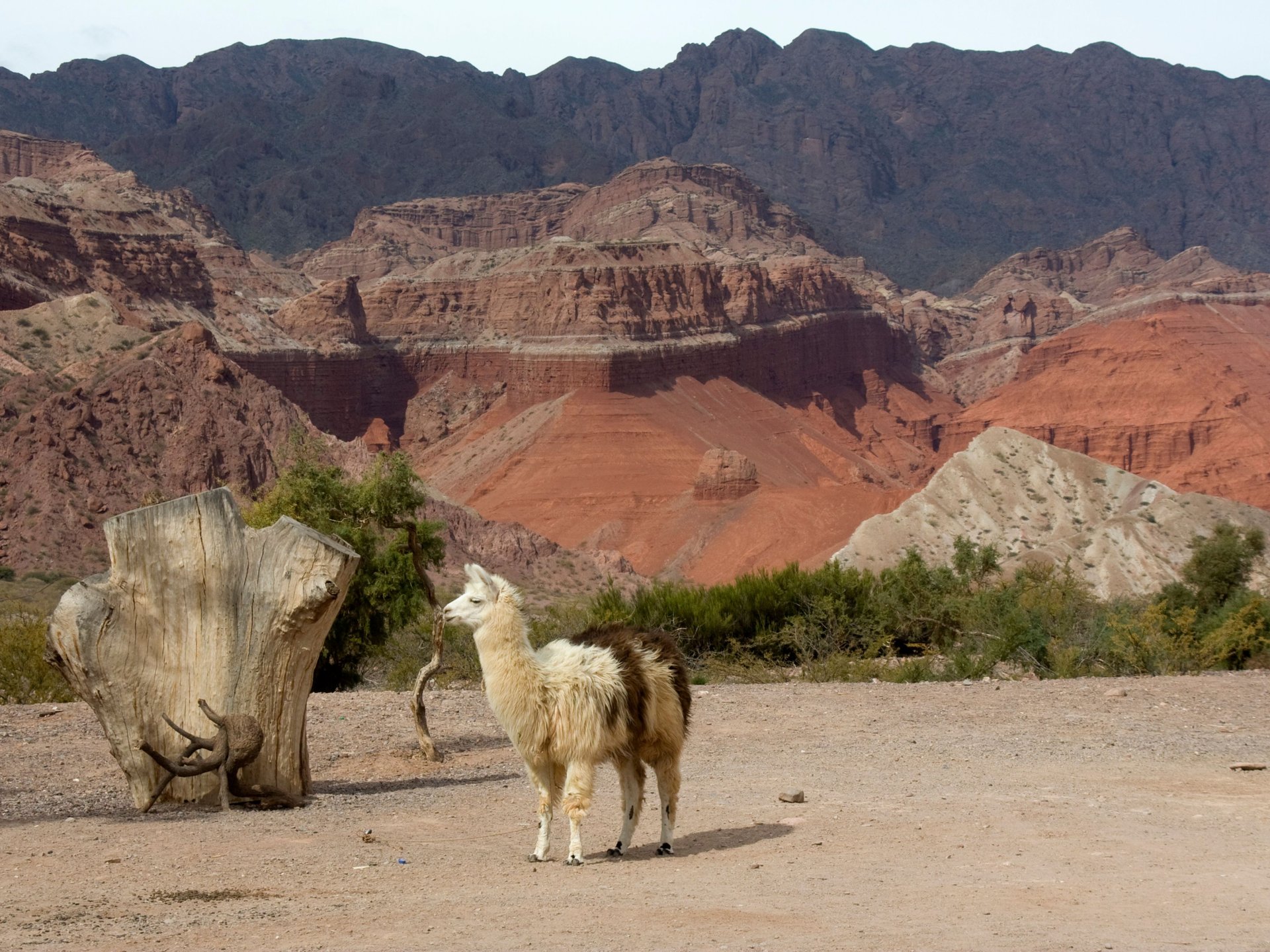 Salta, Argentine