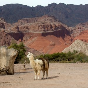 Salta, Argentine