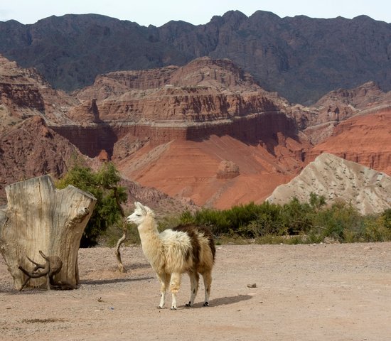 Salta, Argentine