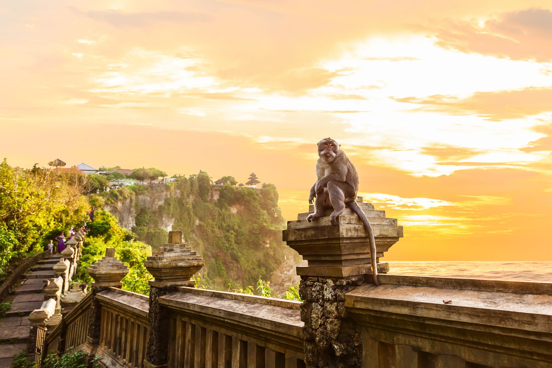 Singe dans le temple d'Uluwatu au coucher du soleil, Kuta Sud, Bali, Indonésie