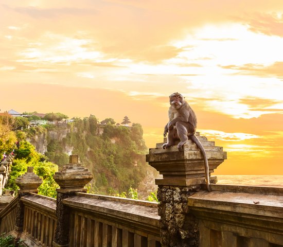 Singe dans le temple d'Uluwatu au coucher du soleil, Kuta Sud, Bali, Indonésie