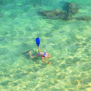 Snorkeling à Hawaii, Etats Unis