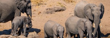 Souvenir du voyage de Ayhan, Afrique du Sud