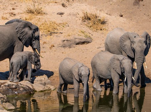 Souvenir du voyage de Ayhan, Afrique du Sud
