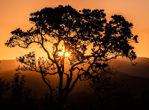 Souvenir du voyage de Ayhan, Afrique du Sud
