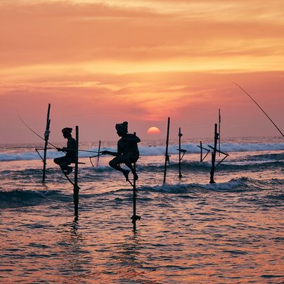 Pecheurs sur des pilotis au Sri Lanka