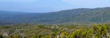 Souvenir du voyage de Marina, Tanzanie