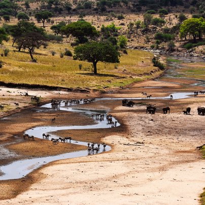 Tarangire en Tanzanie