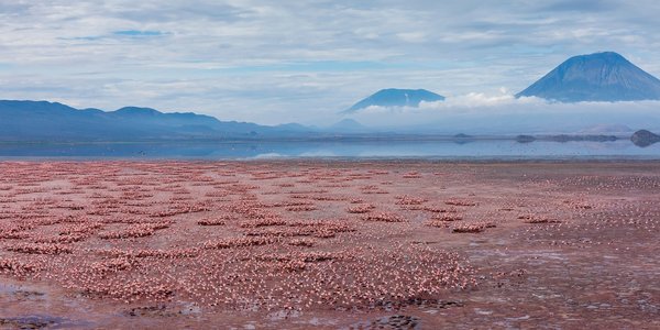 lac natron en Tanzanie