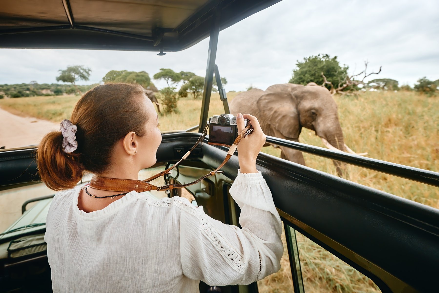 Safari en Tanzanie