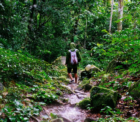 Tarapoto