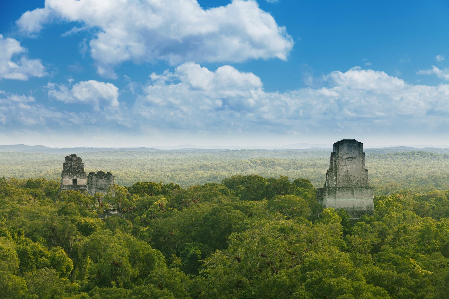 Tikal au Guatemala