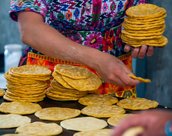 Tortillas de maïs au Guatemala