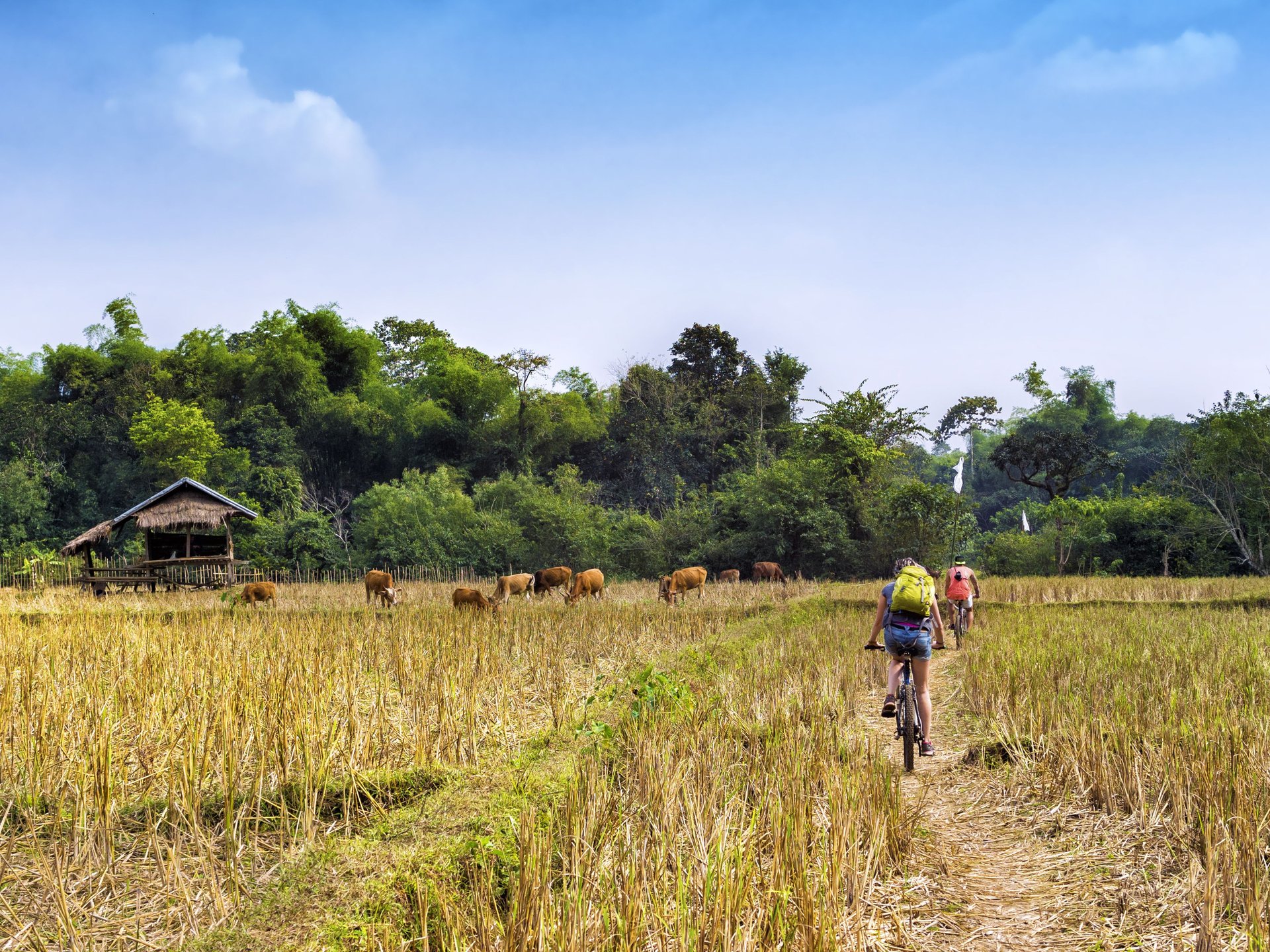 Touristes faisant du vélo dans la campagne à Vang Vieng, province de Vientiane, Laos.