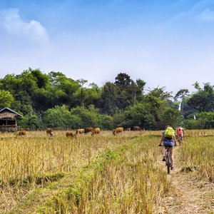 Touristes faisant du vélo dans la campagne à Vang Vieng, province de Vientiane, Laos.