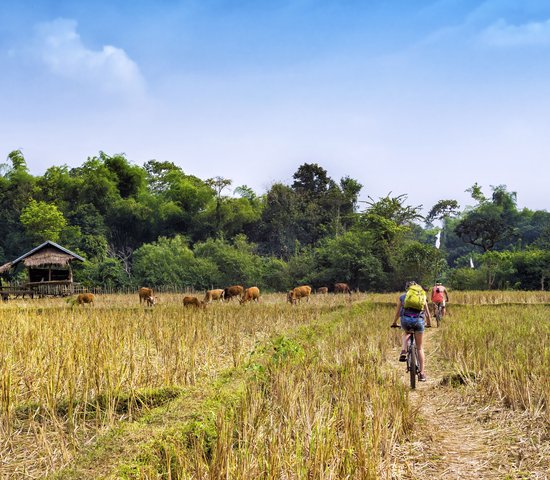 Touristes faisant du vélo dans la campagne à Vang Vieng, province de Vientiane, Laos.