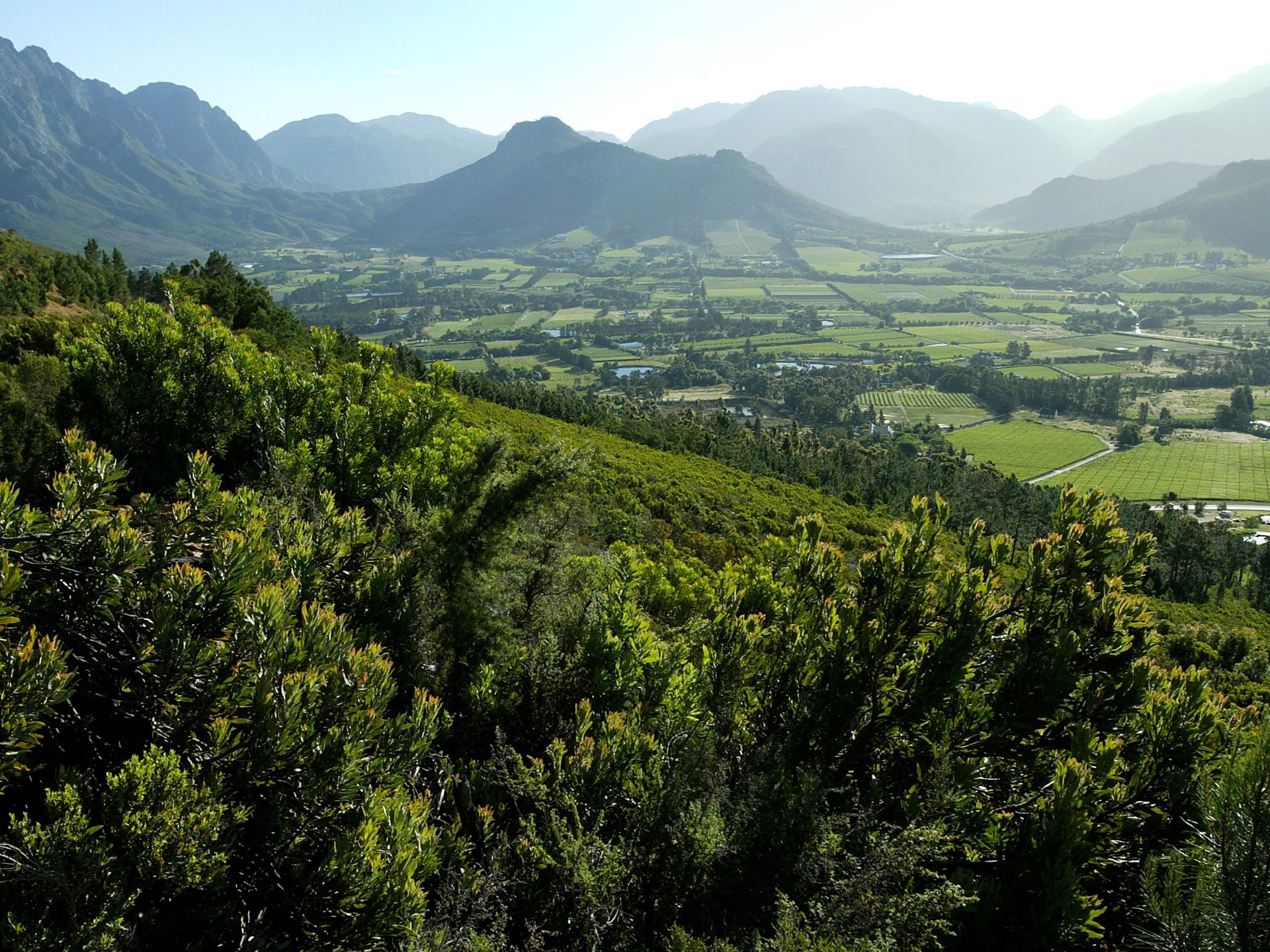 Vallée de Franschhoek, Afrique du Sud