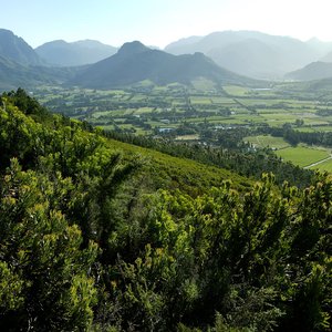 Vallée de Franschhoek, Afrique du Sud