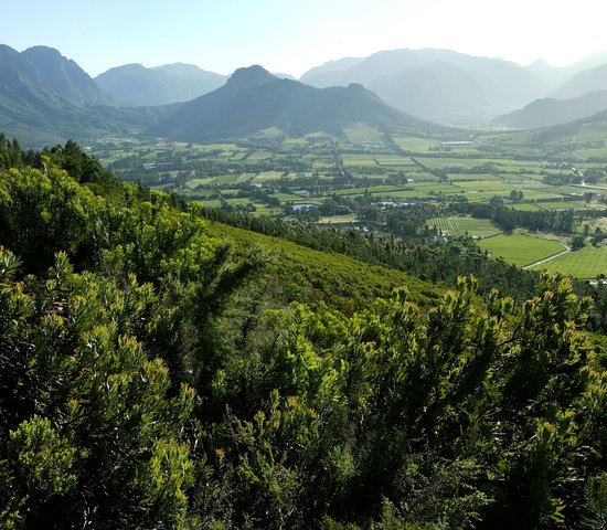 Vallée de Franschhoek, Afrique du Sud