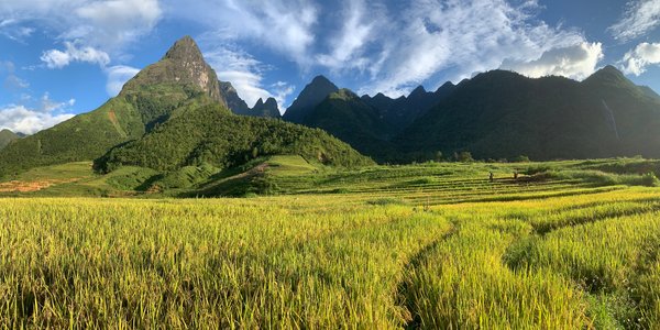 Vietnam Hoang Lien parc